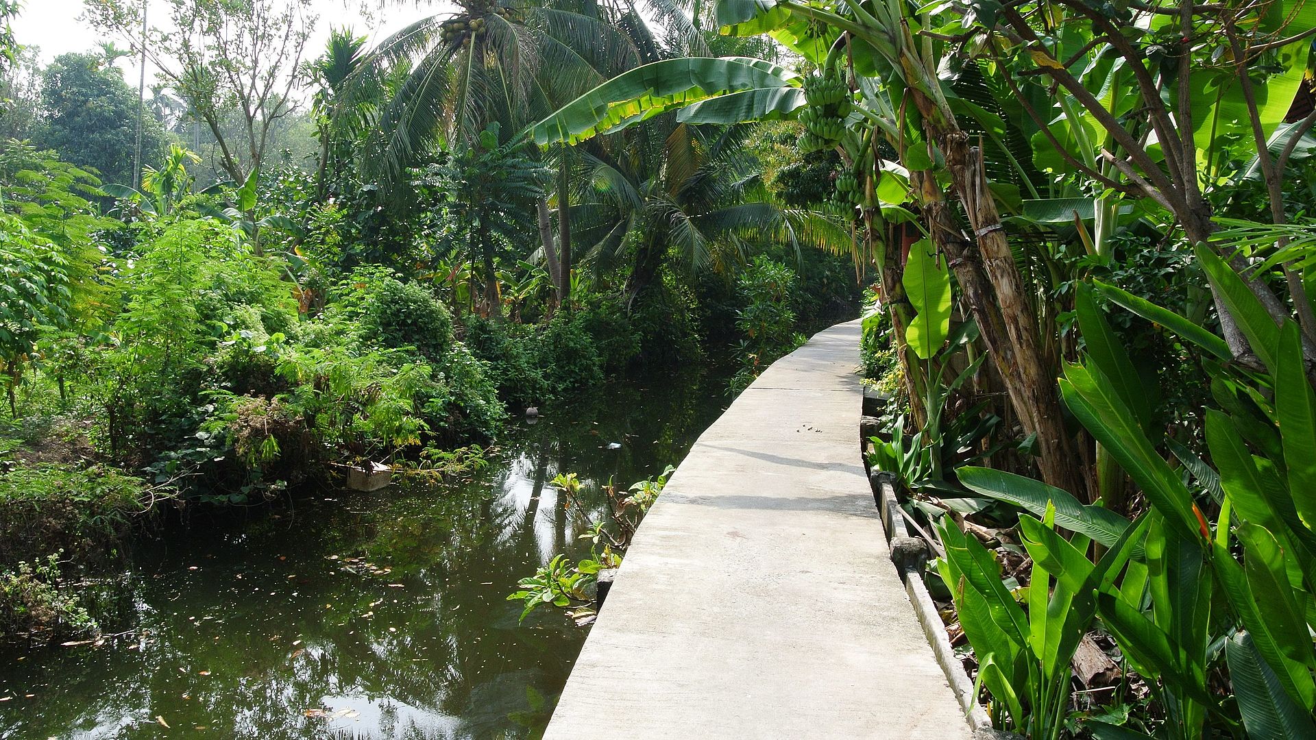 Bang Krachao — The green lung — a river-ringed jungle of orchards, stilt paths and temple crafts.